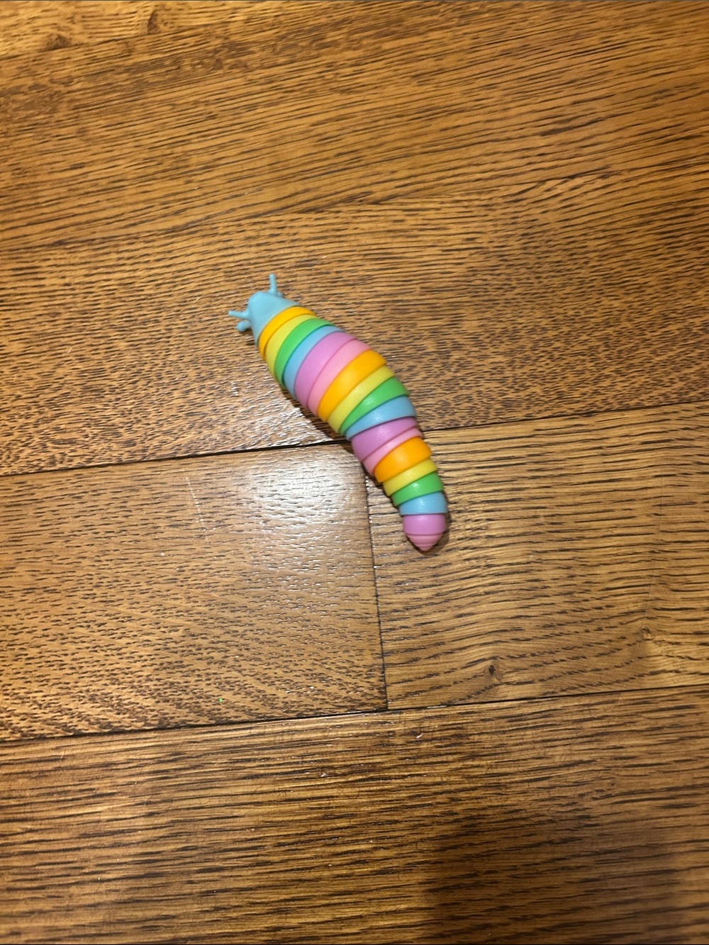 Snail fidget toy. Great for asmr